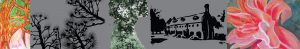 ashburton art strip2 copy