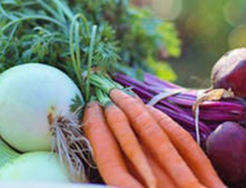 Croydon ranked in London’s top 10 for creating a better food future for residents