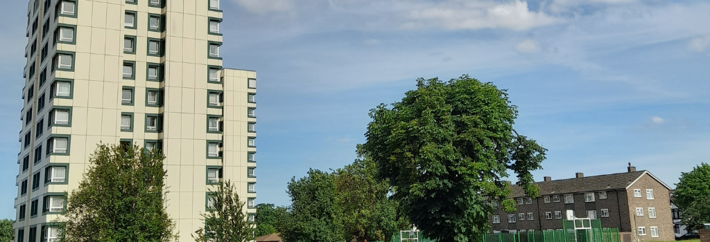 Photo of the Regina Road estate