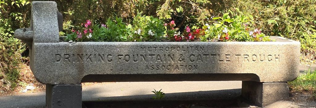 Drinking trough