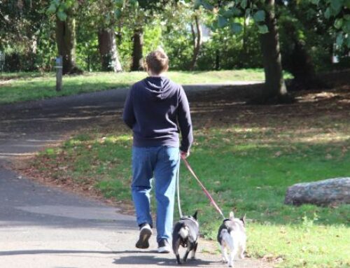 £1.5m Pride in Place funding to revitalise Croydon’s community spaces