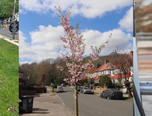 Croydon Council publishes first Climate Action report